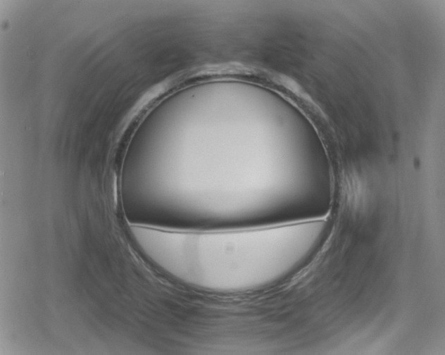 X0000080171221200612081044