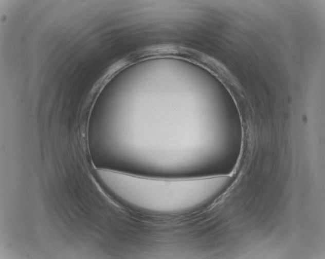 X0000080171225200612081044