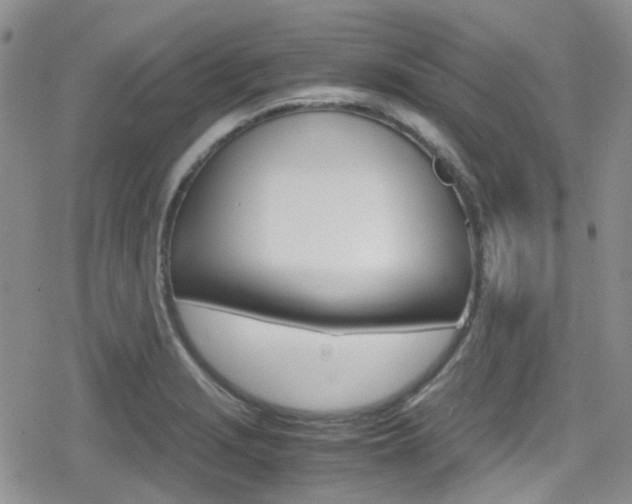 X0000080171229200612081044