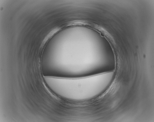 X0000080171233200612081044