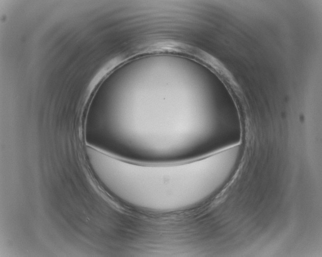 X0000080171234200612081044