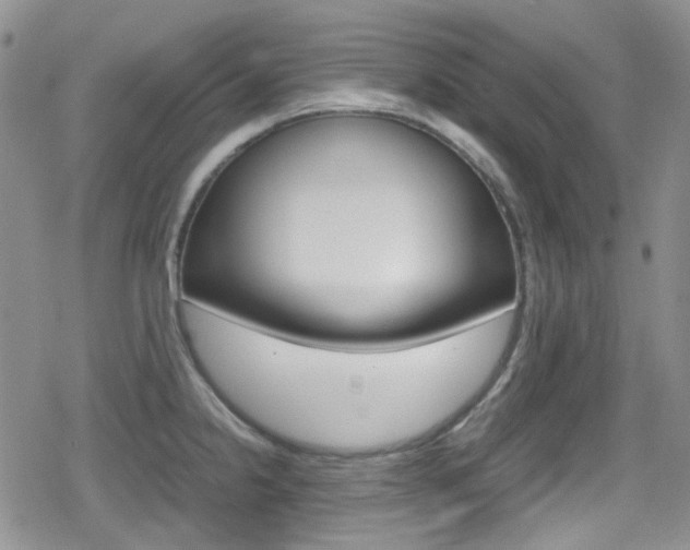 X0000080171238200612081044