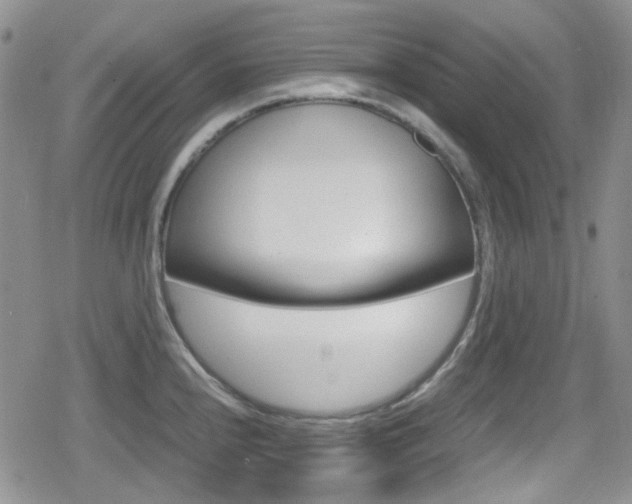 X0000080171240200612081044