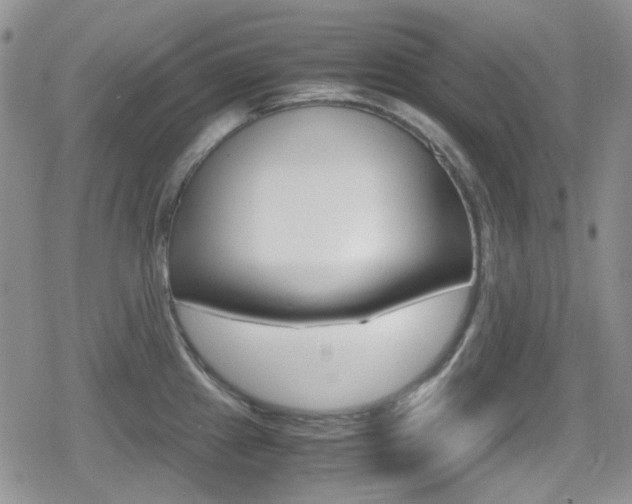 X0000080171241200612081044