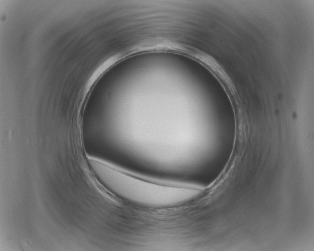 X0000080171242200612081044