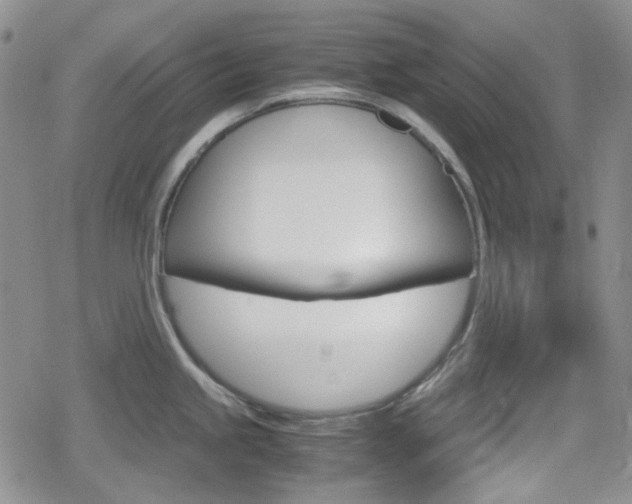 X0000080171245200612081044