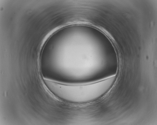X0000080171246200612081044