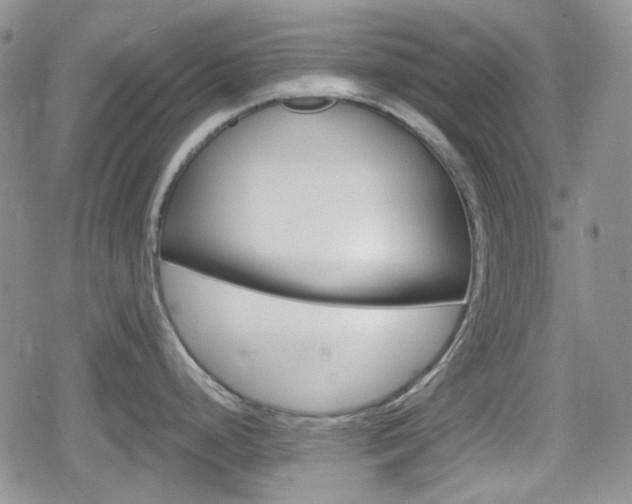 X0000080171248200612081044