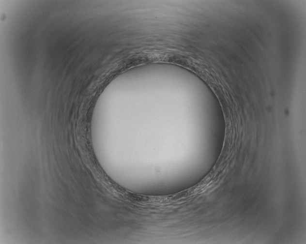 X0000080171249200612081043
