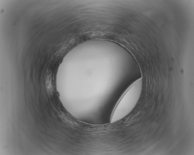 X0000080171250200612081043