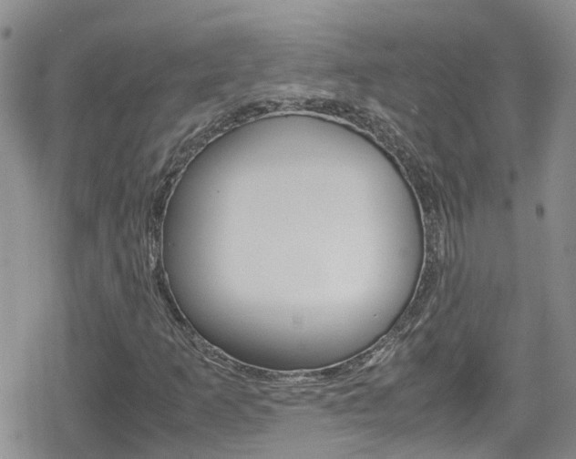 X0000080171253200612081043
