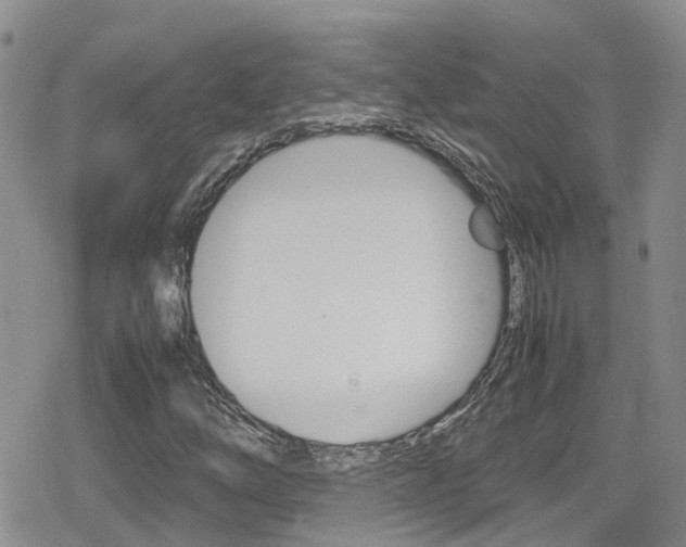 X0000080171254200612081043