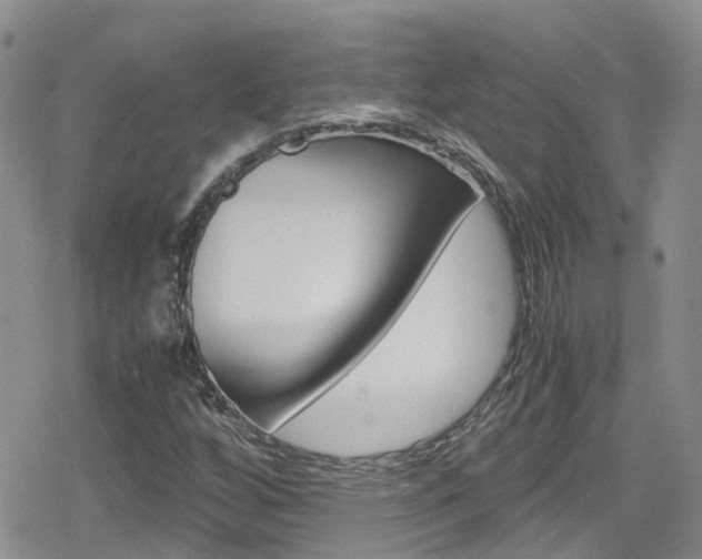 X0000080171256200612081043