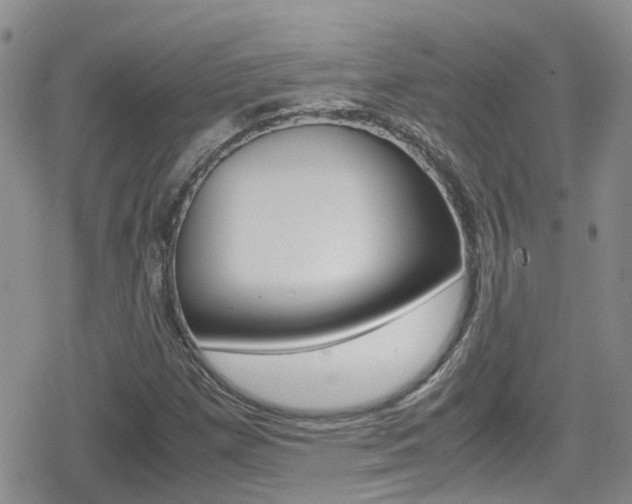 X0000080171257200612081043
