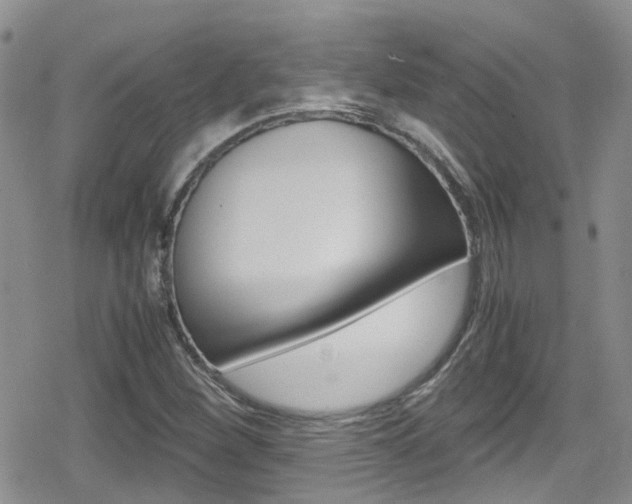 X0000080171260200612081043