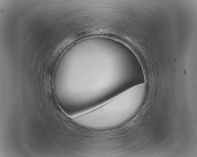 X0000080171265200612081043
