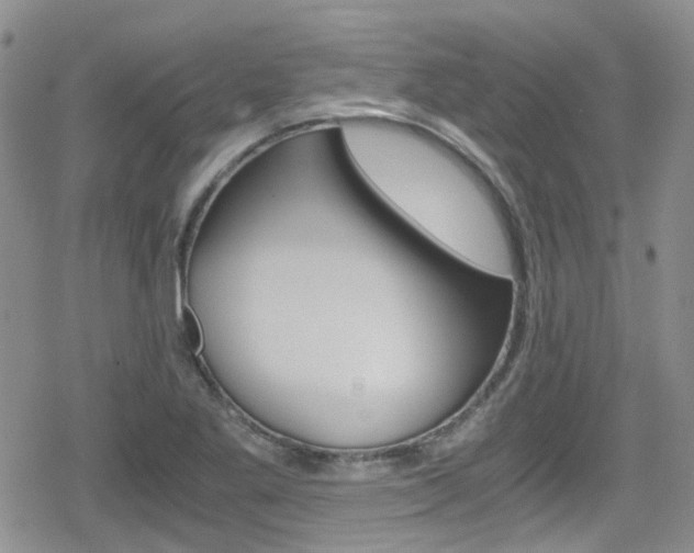 X0000080171269200612081043