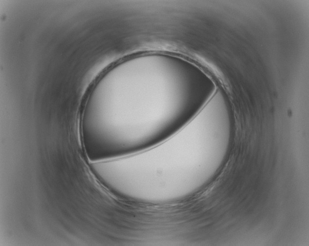 X0000080171272200612081043