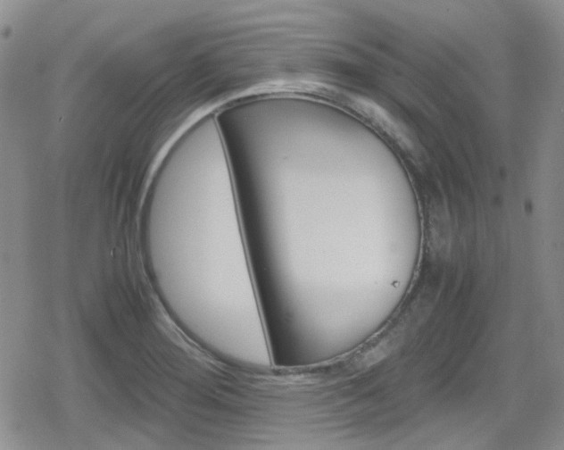 X0000080171276200612081043