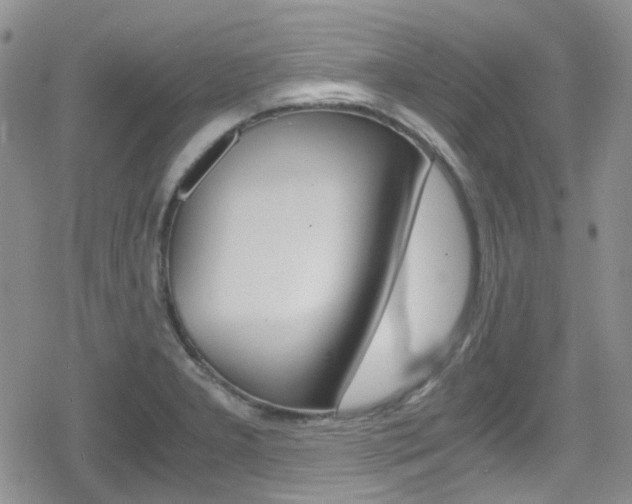 X0000080171277200612081043