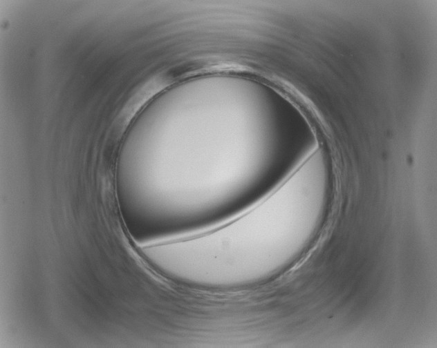X0000080171281200612081043