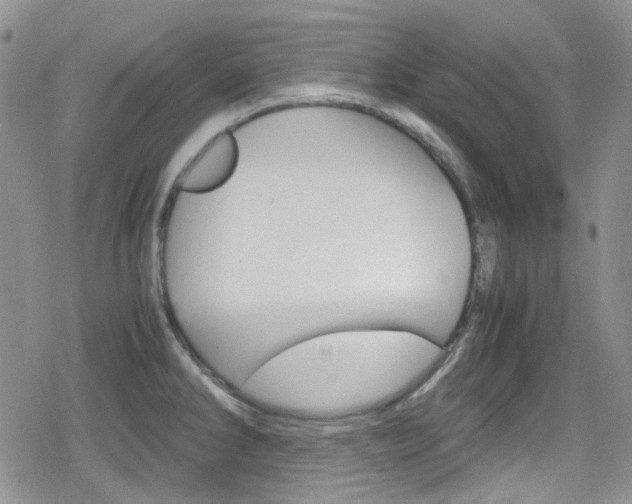 X0000080171286200612081043
