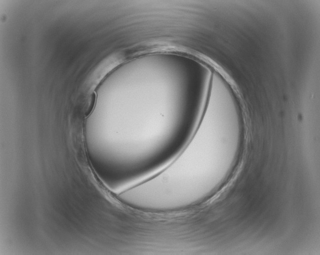 X0000080171289200612081043