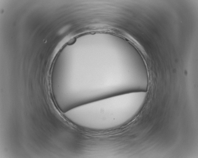 X0000080171291200612081043
