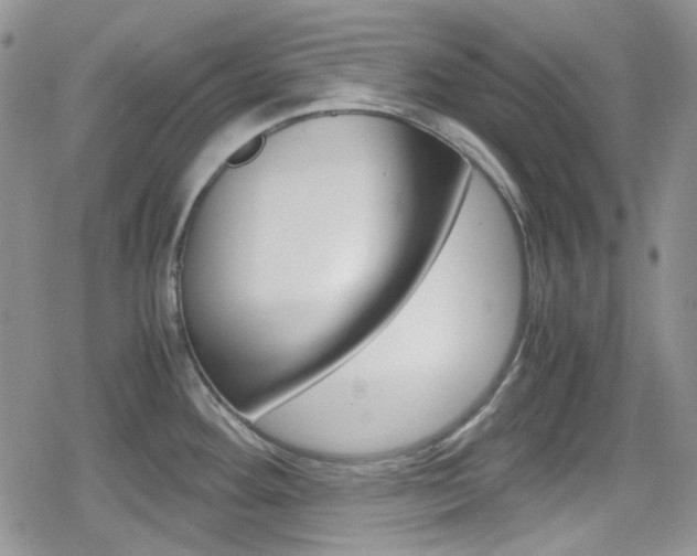 X0000080171292200612081043