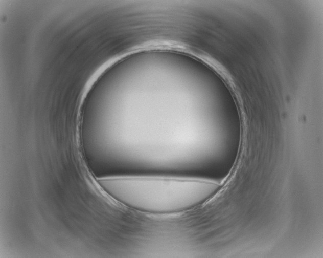 X0000080171296200612081043
