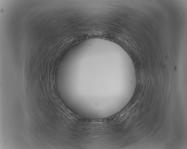 X0000080171297200612081042