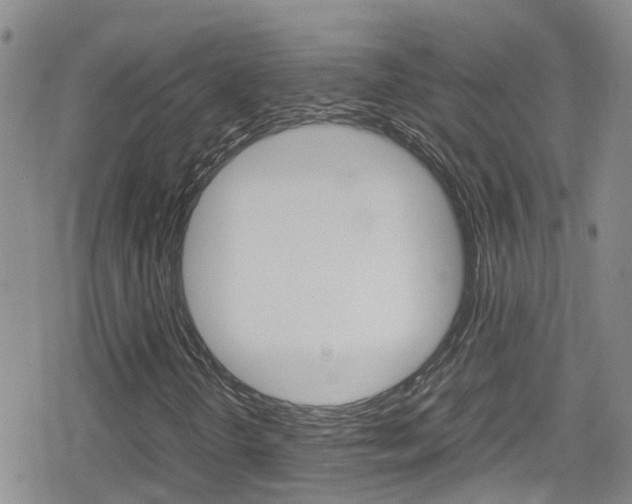 X0000080171298200612081042