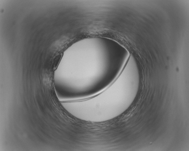 X0000080171300200612081042
