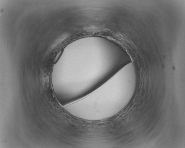 X0000080171302200612081042