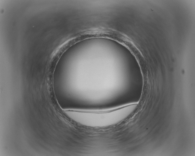 X0000080171304200612081042