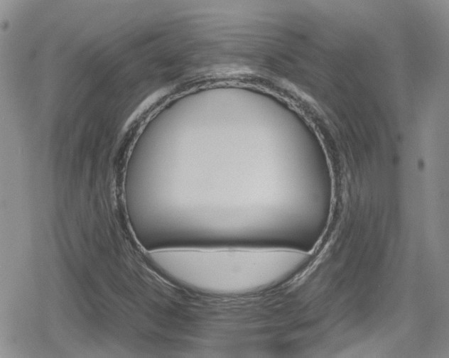 X0000080171306200612081042