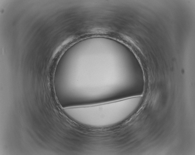 X0000080171307200612081042