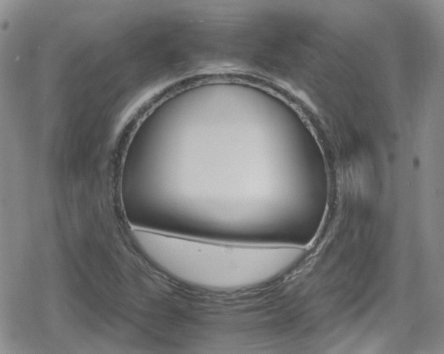 X0000080171311200612081042