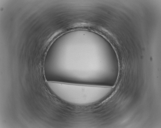 X0000080171313200612081042