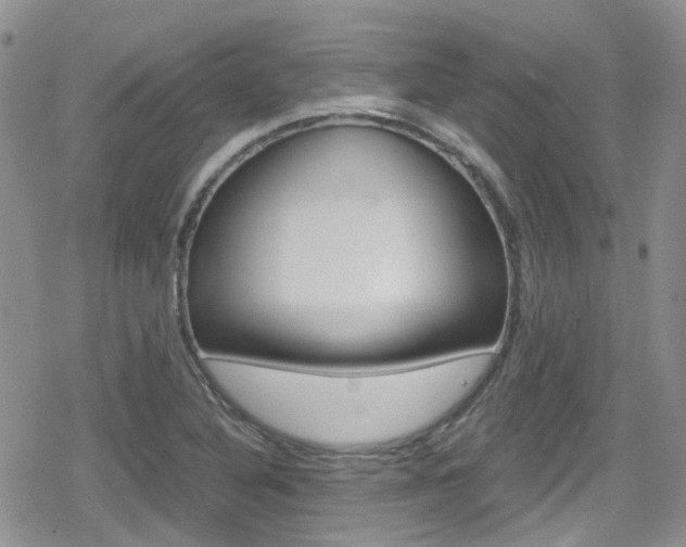 X0000080171316200612081042