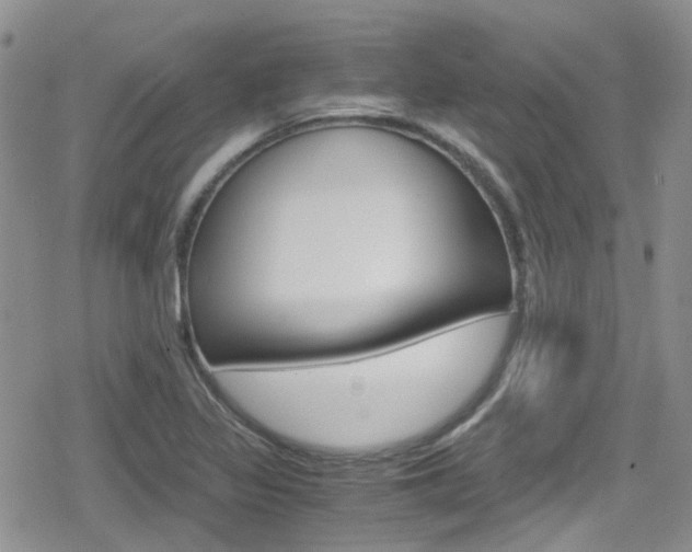 X0000080171317200612081042