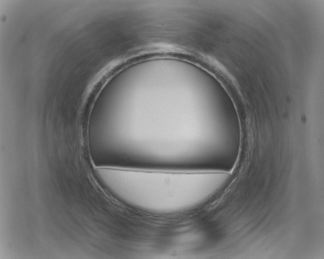 X0000080171318200612081042