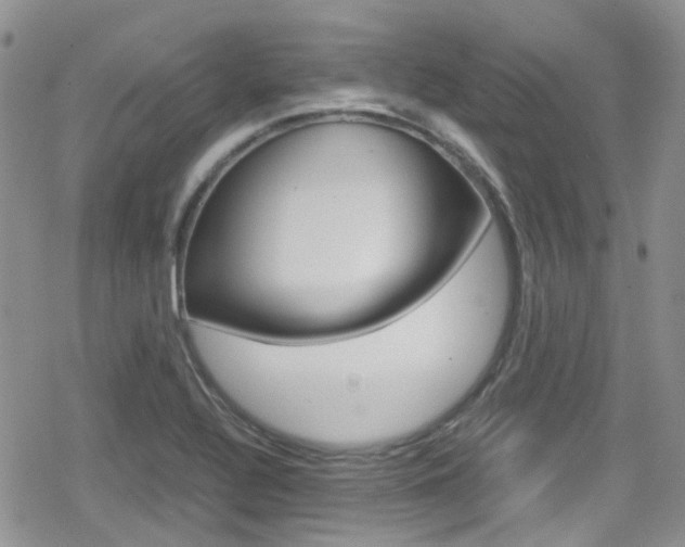 X0000080171320200612081042