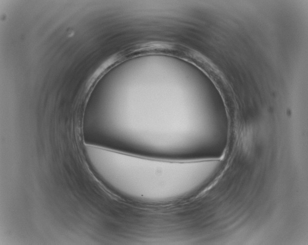 X0000080171321200612081042