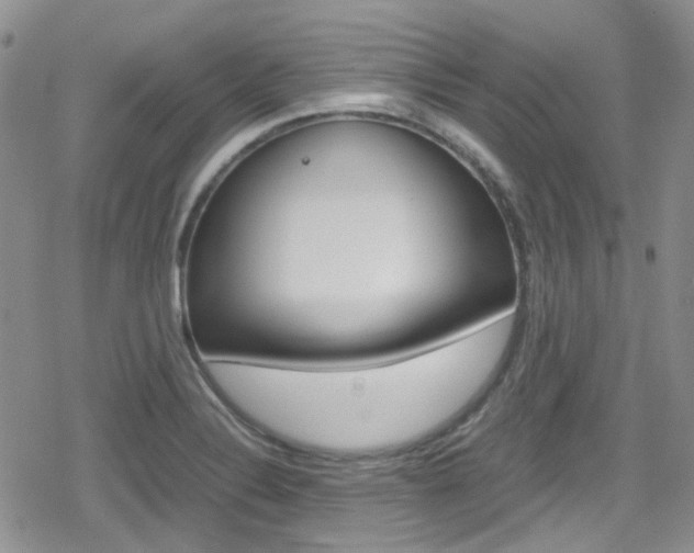 X0000080171324200612081042