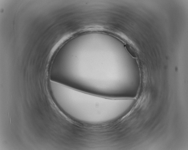 X0000080171325200612081042