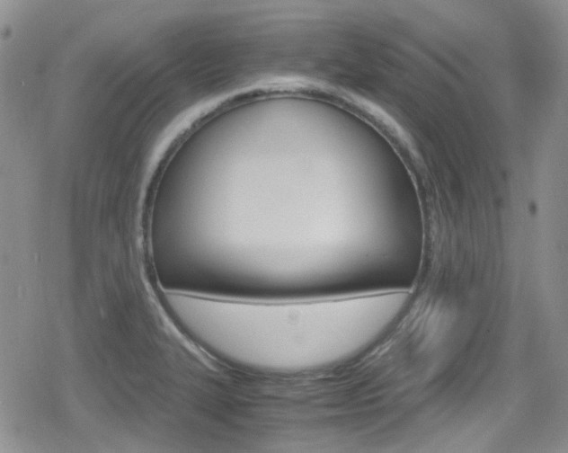 X0000080171327200612081042