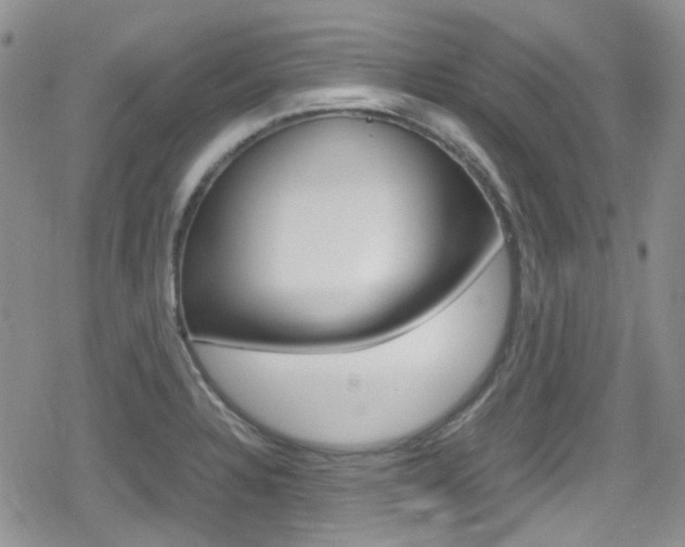 X0000080171328200612081042