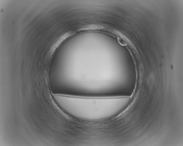 X0000080171329200612081042