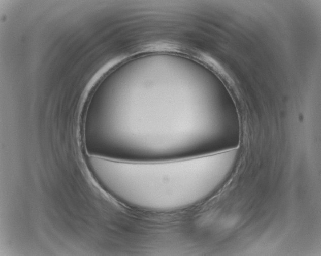 X0000080171331200612081042